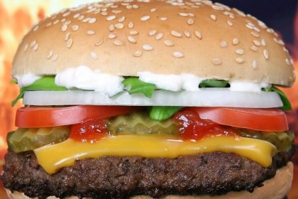 Food quality top of the mind for urban Indians while ordering from fast-food chains: Survey