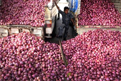 Lok Sabha elections 2024: EC gave green signal before govt lifted onion export ban, says official